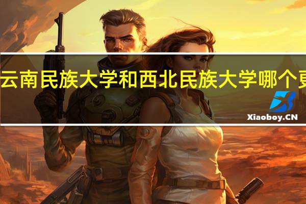云南民族大学和西北民族大学哪个更好啊