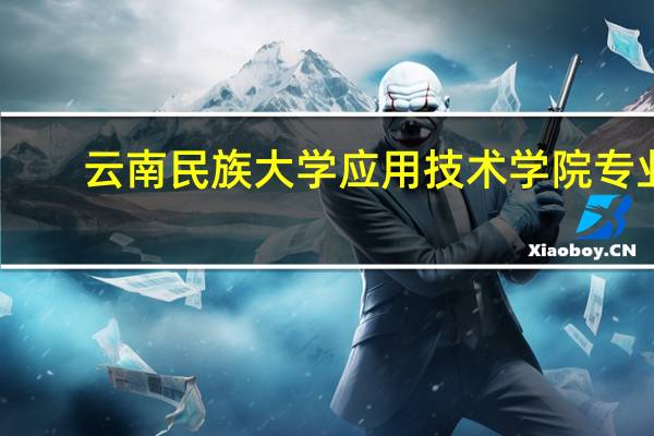 云南民族大学应用技术学院专业