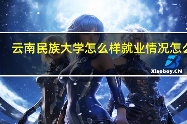 云南民族大学怎么样就业情况怎么样