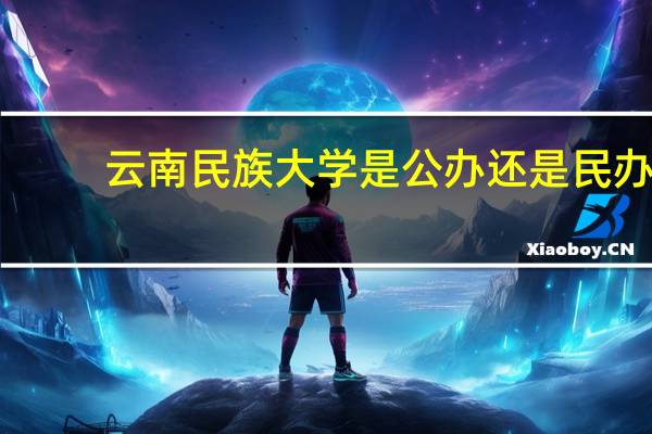 云南民族大学是公办还是民办