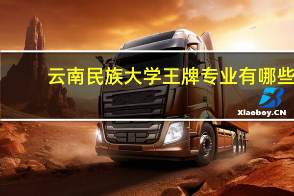云南民族大学王牌专业有哪些
