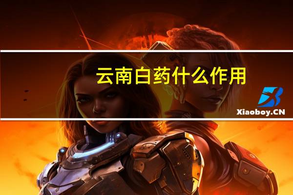 云南白药什么作用