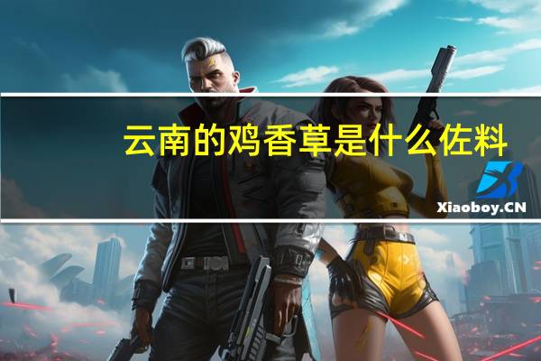 云南的鸡香草是什么佐料