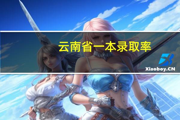 云南省一本录取率