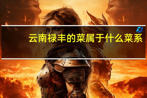 云南禄丰的菜属于什么菜系