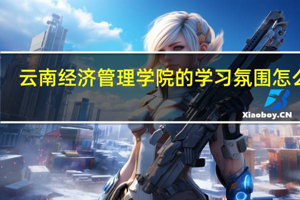 云南经济管理学院的学习氛围怎么样
