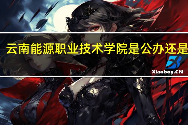 云南能源职业技术学院是公办还是民办