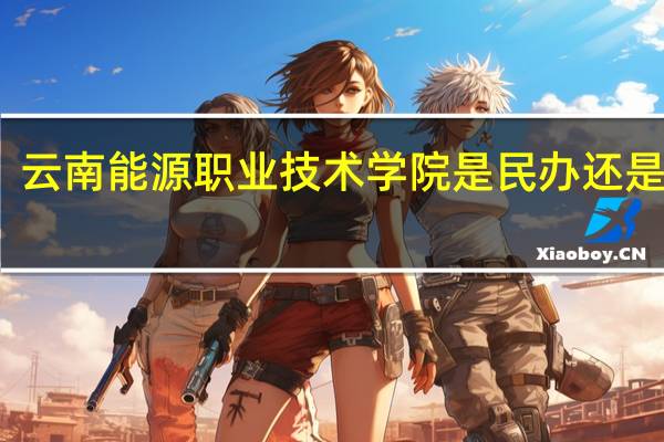 云南能源职业技术学院是民办还是公办