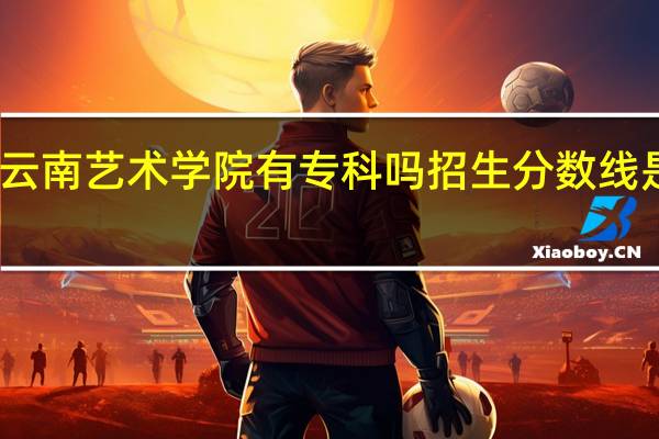 云南艺术学院有专科吗招生分数线是多少