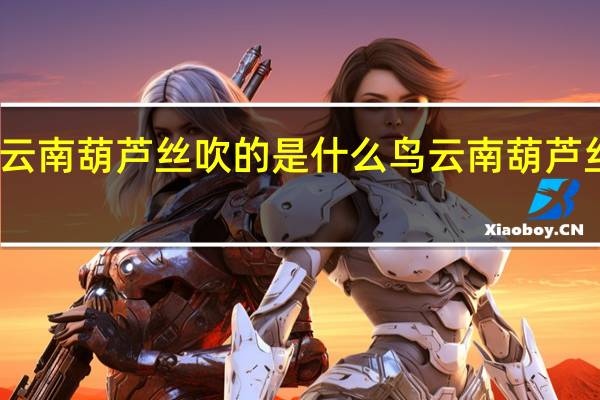云南葫芦丝吹的是什么鸟 云南葫芦丝音乐