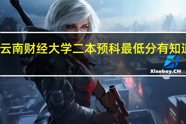 云南财经大学二本预科最低分有知道的么