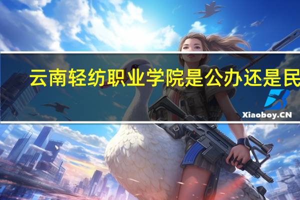 云南轻纺职业学院是公办还是民办