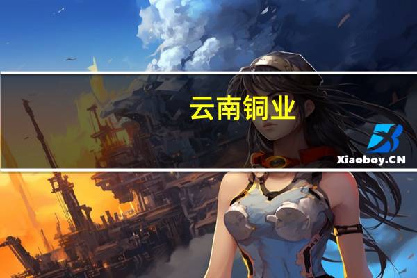 云南铜业：上半年净利润同比增长45.21%