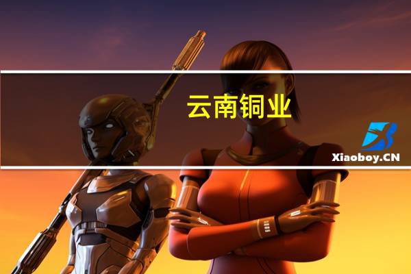 云南铜业：总体而言公司今年的硫酸销售均价较去年有所降低