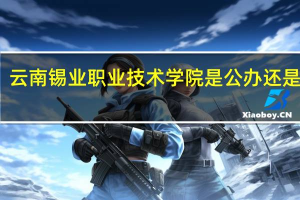 云南锡业职业技术学院是公办还是民办