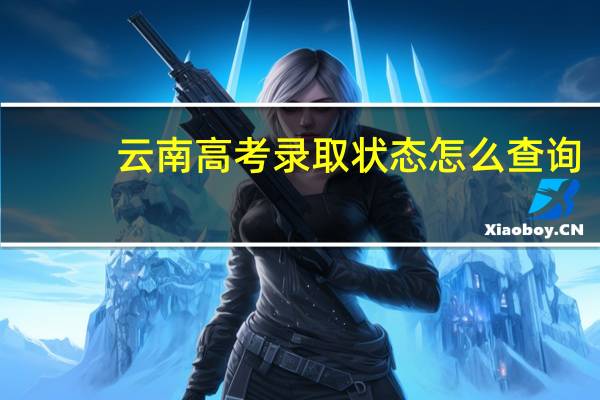 云南高考录取状态怎么查询
