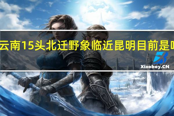 云南15头北迁野象临近昆明 目前是啥情况