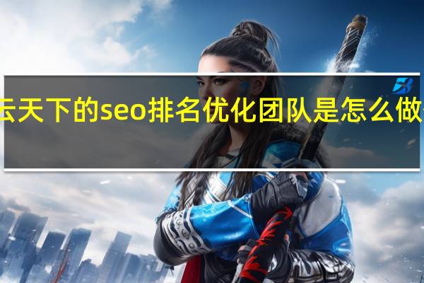 云天下的seo排名优化团队是怎么做优化的，有哪些流程吗