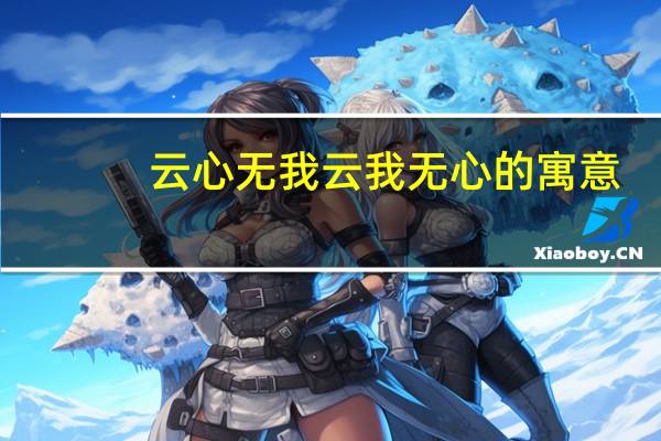 云心无我云我无心的寓意