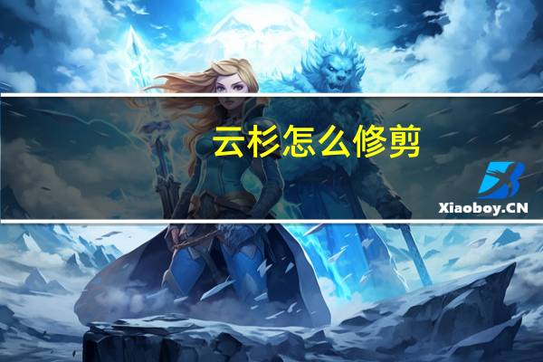 云杉怎么修剪