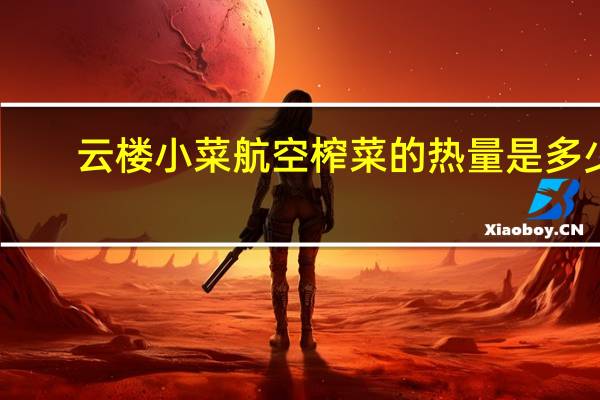 云楼 小菜航空榨菜的热量是多少