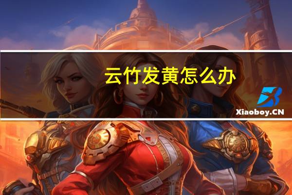 云竹发黄怎么办