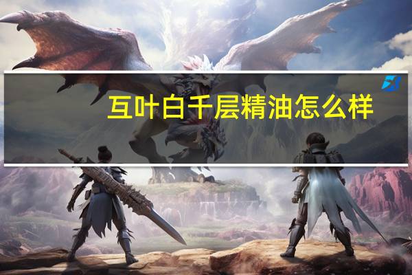 互叶白千层精油怎么样（互叶白千层）