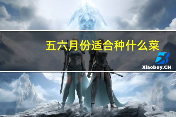 五六月份适合种什么菜