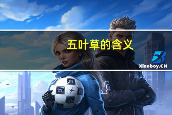 五叶草的含义
