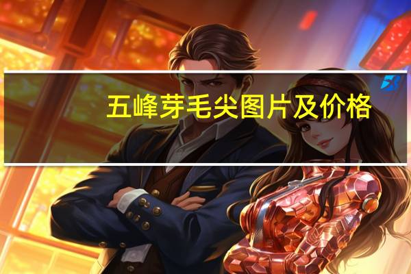 五峰芽毛尖图片及价格（对于五峰芽毛尖 要用多少度的水去泡）