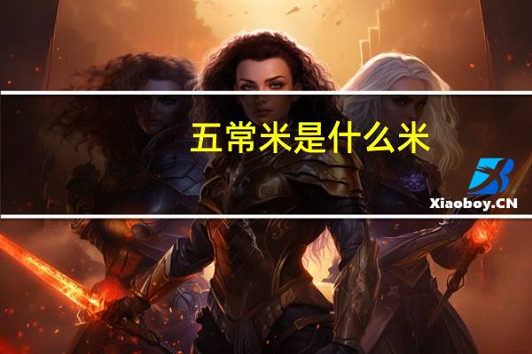 五常米是什么米