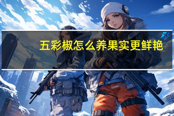 五彩椒怎么养果实更鲜艳