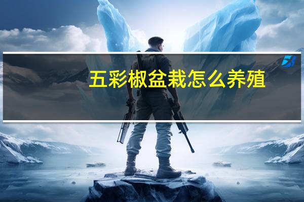五彩椒盆栽怎么养殖