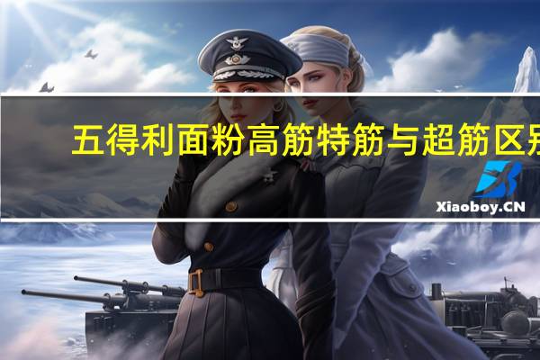 五得利面粉高筋特筋与超筋区别