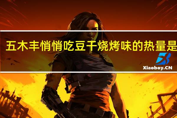 五木丰 悄悄吃豆干烧烤味的热量是多少