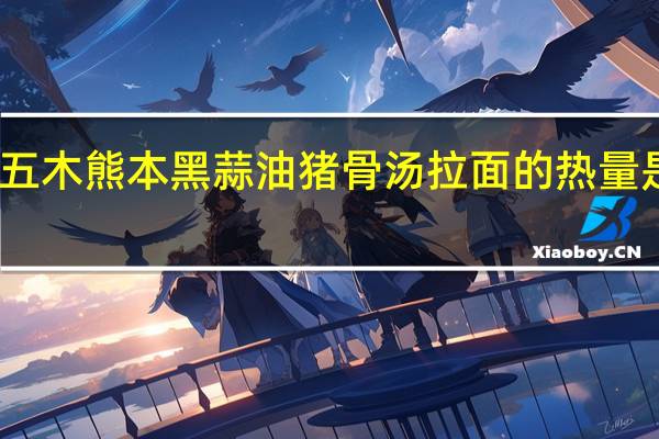 五木 熊本黑蒜油猪骨汤拉面的热量是多少