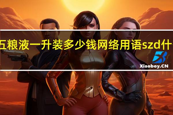 五粮液一升装多少钱 网络用语szd什么意思