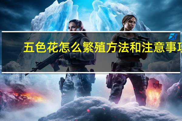 五色花怎么繁殖方法和注意事项