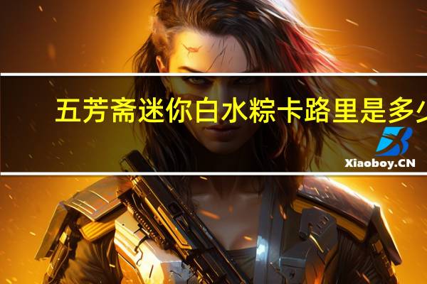 五芳斋 迷你白水粽卡路里是多少