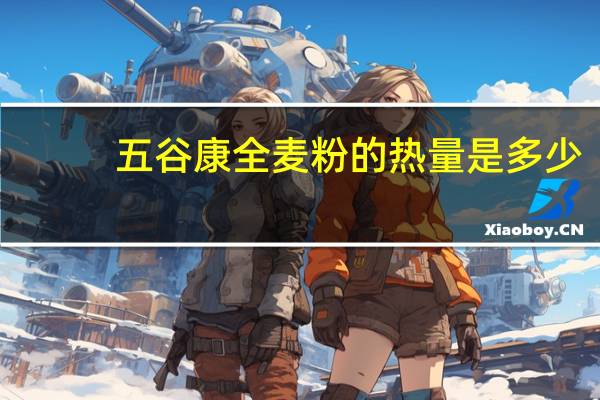 五谷康 全麦粉的热量是多少
