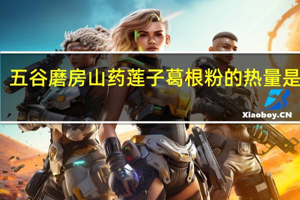 五谷磨房 山药莲子葛根粉的热量是多少