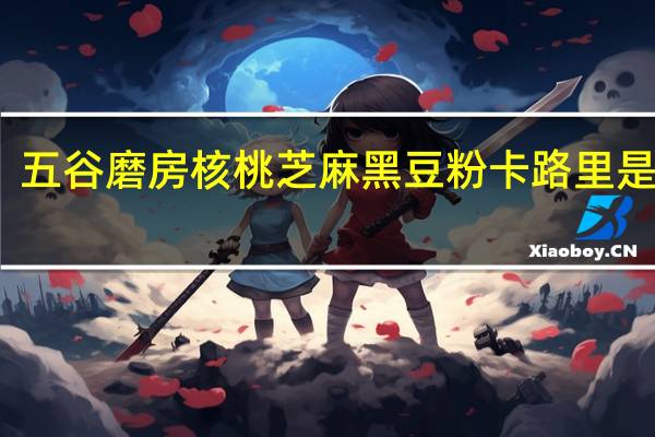 五谷磨房核桃芝麻黑豆粉卡路里是多少