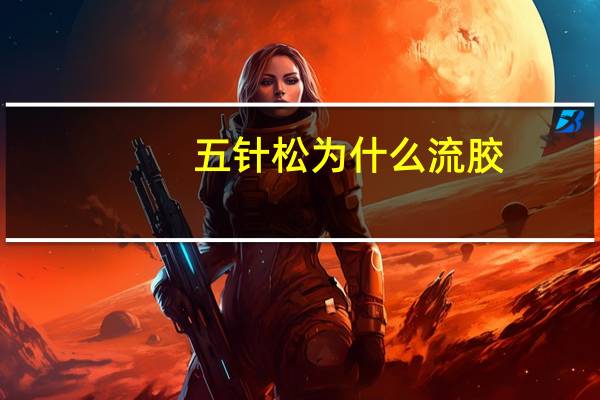 五针松为什么流胶