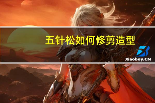 五针松如何修剪造型