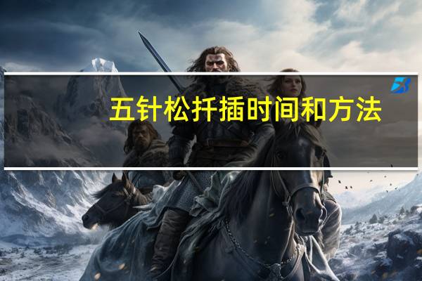 五针松扦插时间和方法