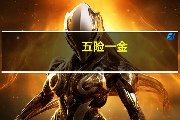 五险一金（关于五险一金的介绍）