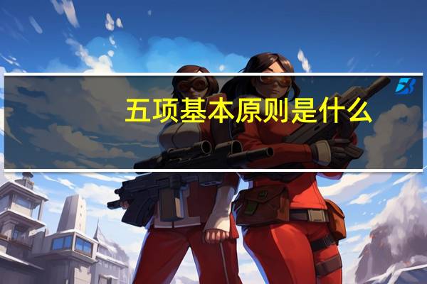 五项基本原则是什么