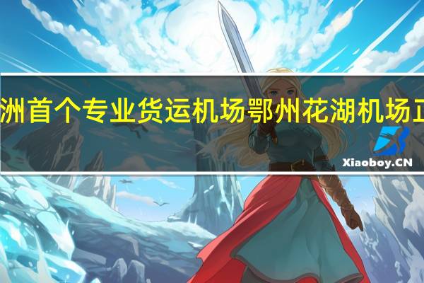 亚洲首个专业货运机场鄂州花湖机场正式投运，这将对当地的经济发展带来哪些助力