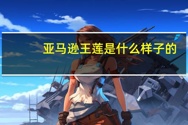 亚马逊王莲是什么样子的