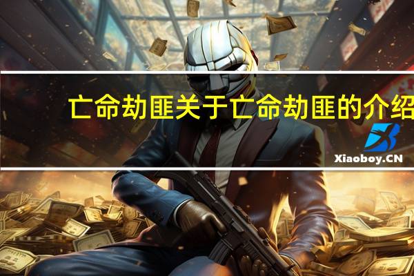 亡命劫匪 关于亡命劫匪的介绍